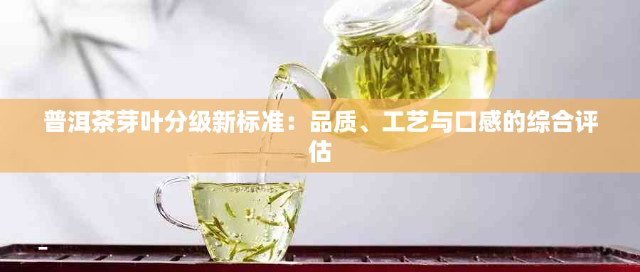 普洱茶芽叶分级新标准：品质、工艺与口感的综合评估