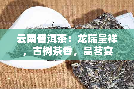 云南普洱茶：龙瑞呈祥，古树茶香，品茗宴