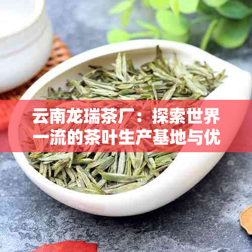 云南龙瑞茶厂：探索世界一流的茶叶生产基地与优质茶叶产品