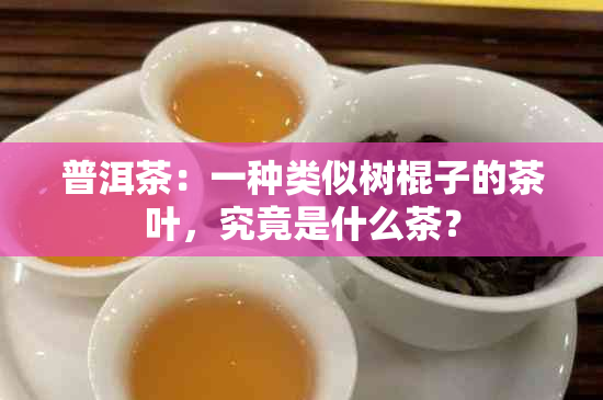 普洱茶：一种类似树棍子的茶叶，究竟是什么茶？