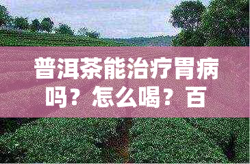 普洱茶能治疗胃病吗？怎么喝？百度百科告诉你。