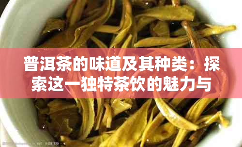 普洱茶的味道及其种类：探索这一独特茶饮的魅力与风味