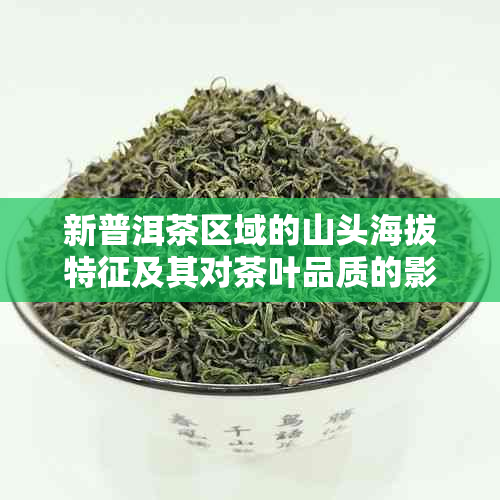 新普洱茶区域的山头海拔特征及其对茶叶品质的影响