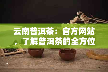 云南普洱茶：官方网站，了解普洱茶的全方位信息与购买指南