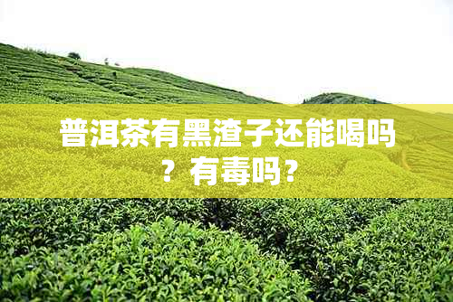 普洱茶有黑渣子还能喝吗？有吗？