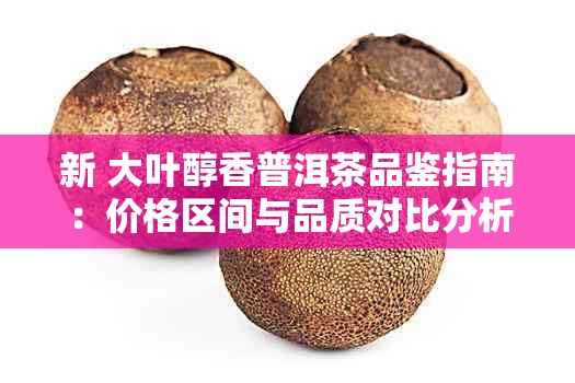 新 大叶醇香普洱茶品鉴指南：价格区间与品质对比分析