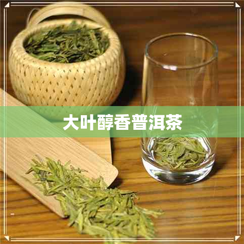 大叶醇香普洱茶