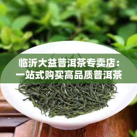 临沂大益普洱茶专卖店：一站式购买高品质普洱茶，了解选购指南与品鉴技巧