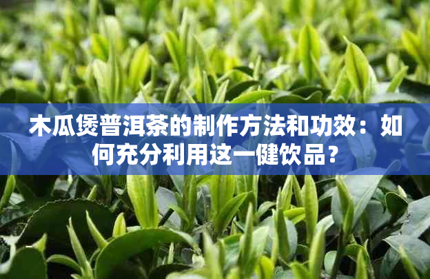 木瓜煲普洱茶的制作方法和功效：如何充分利用这一健饮品？