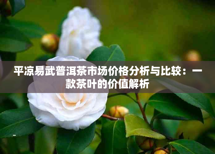 平凉易武普洱茶市场价格分析与比较：一款茶叶的价值解析