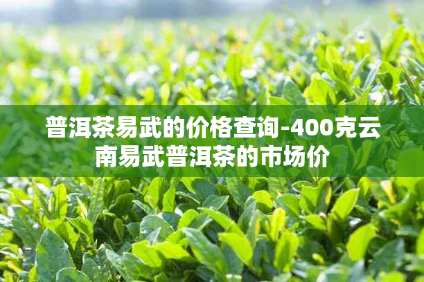 普洱茶易武的价格查询-400克云南易武普洱茶的市场价