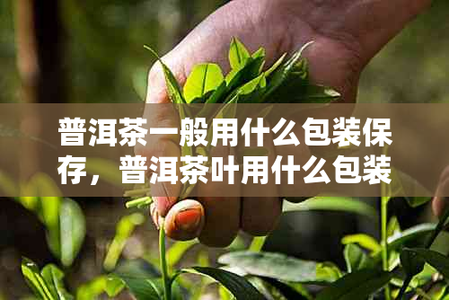 普洱茶一般用什么包装保存，普洱茶叶用什么包装好？