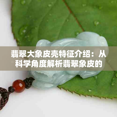 翡翠大象皮壳特征介绍：从科学角度解析翡翠象皮的成因与价值