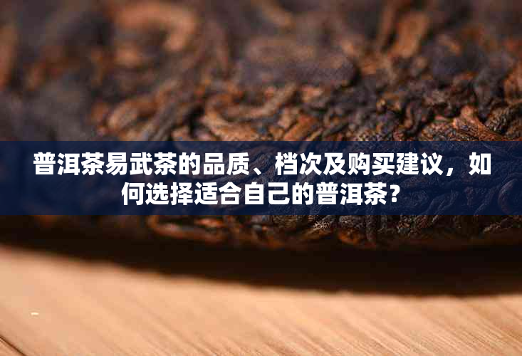 普洱茶易武茶的品质、档次及购买建议，如何选择适合自己的普洱茶？