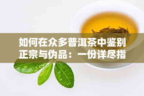 如何在众多普洱茶中鉴别正宗与伪品：一份详尽指南