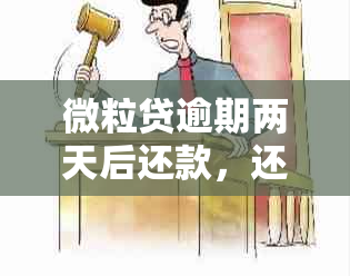 微粒贷逾期两天后还款，还款后能否再次借款以及相关影响全面解答