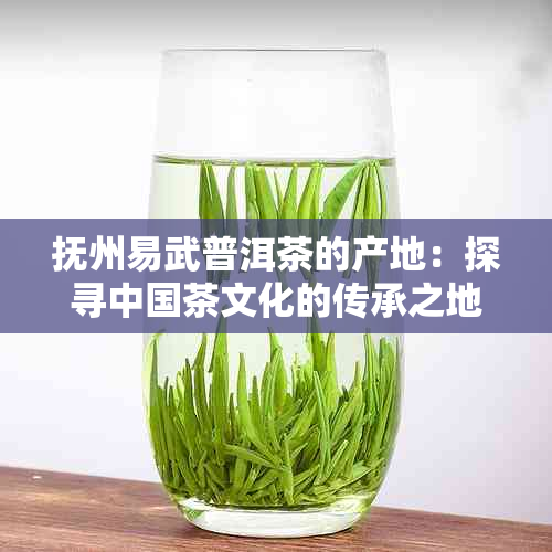 抚州易武普洱茶的产地：探寻中国茶文化的传承之地