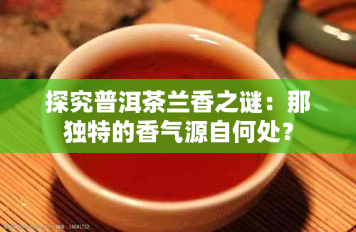 探究普洱茶兰香之谜：那独特的香气源自何处？