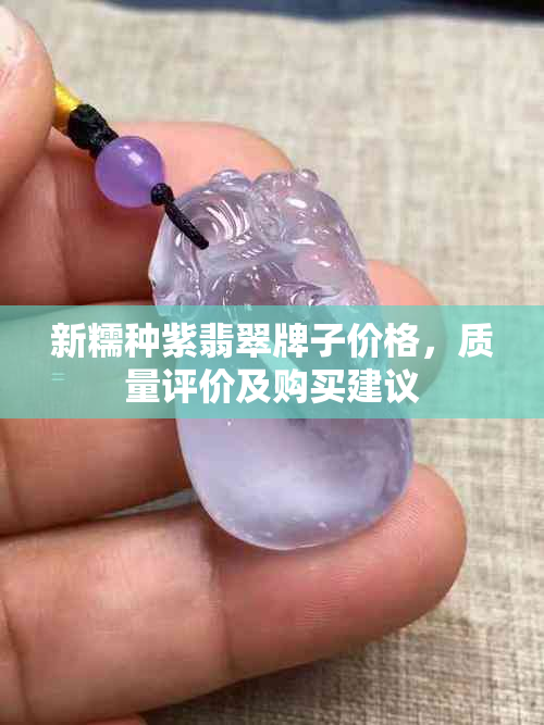 新糯种紫翡翠牌子价格，质量评价及购买建议