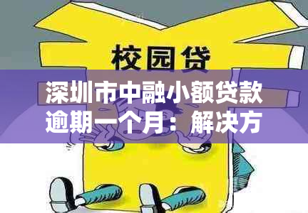 深圳市中融小额贷款逾期一个月：解决方法、影响与应对策略全面解析