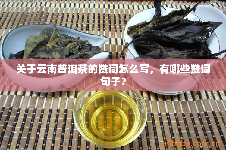 关于云南普洱茶的赞词怎么写，有哪些赞词句子？