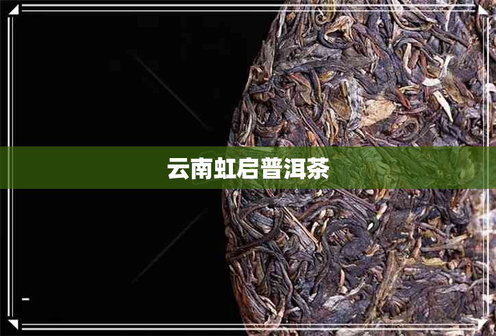 云南虹启普洱茶