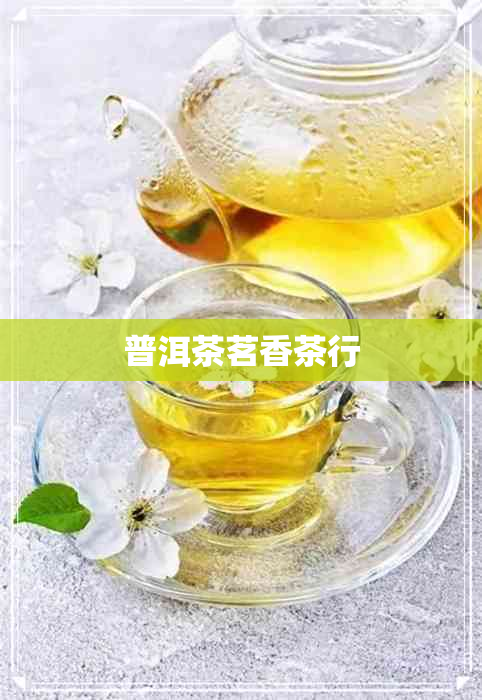 普洱茶茗香茶行