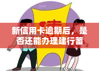 新信用卡逾期后，是否还能办理建行蓄卡及相关问题解答