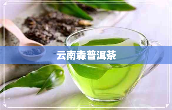 云南森普洱茶