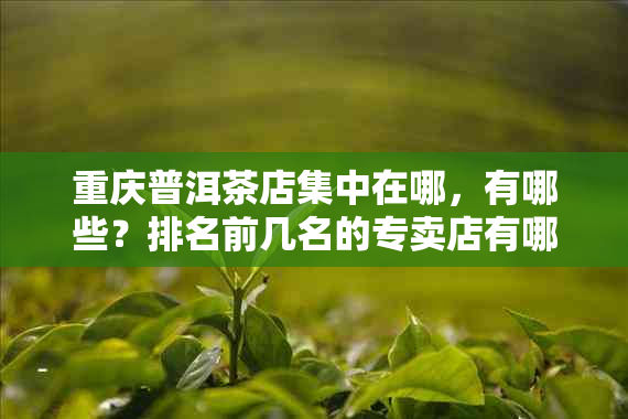 重庆普洱茶店集中在哪，有哪些？排名前几名的专卖店有哪些