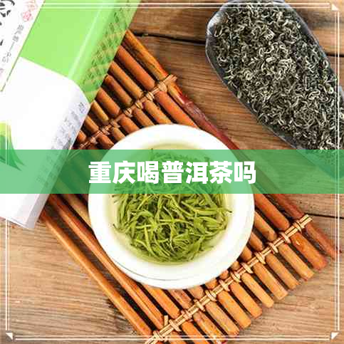 重庆喝普洱茶吗