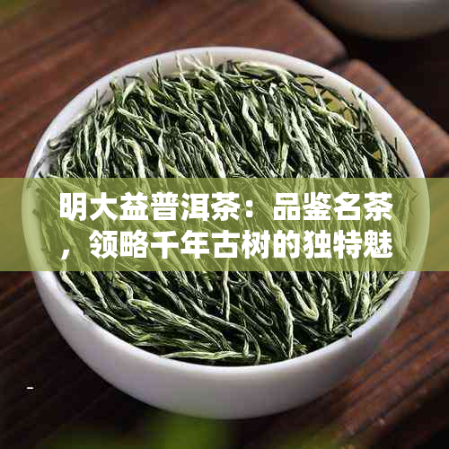 明大益普洱茶：品鉴名茶，领略千年古树的独特魅力