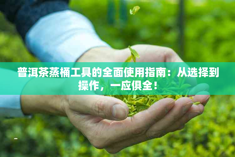 普洱茶蒸桶工具的全面使用指南：从选择到操作，一应俱全！