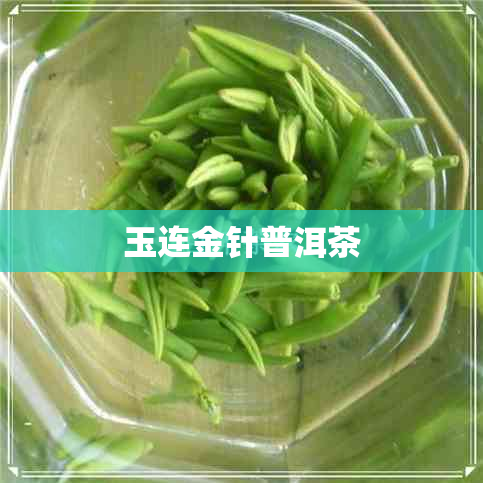 玉连金针普洱茶