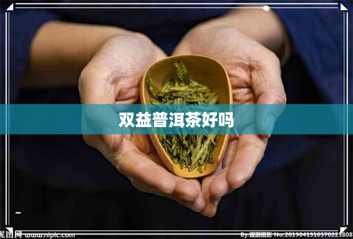 双益普洱茶好吗