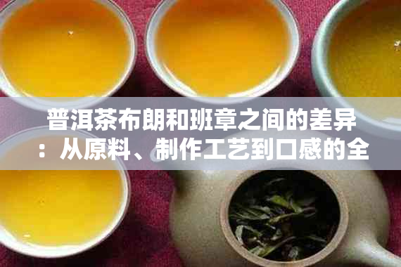 普洱茶布朗和班章之间的差异：从原料、制作工艺到口感的全面比较