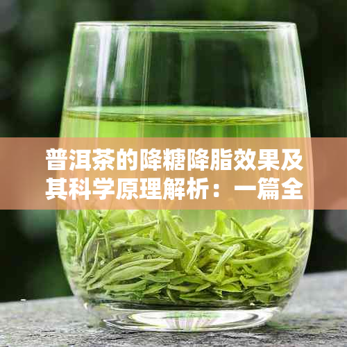 普洱茶的降糖降脂效果及其科学原理解析：一篇全面了解普洱茶健益处的文章