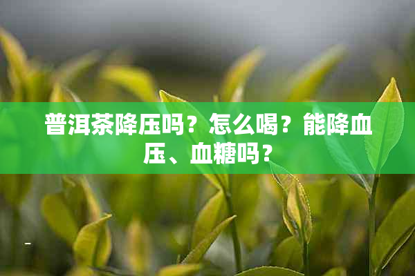 普洱茶降压吗？怎么喝？能降血压、血糖吗？