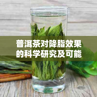 普洱茶对降脂效果的科学研究及可能的作用机制分析