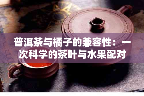 普洱茶与橘子的兼容性：一次科学的茶叶与水果配对探讨