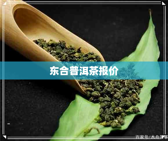 东合普洱茶报价