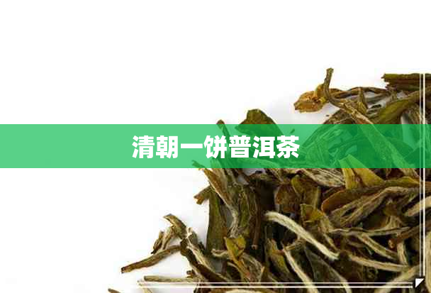 清朝一饼普洱茶