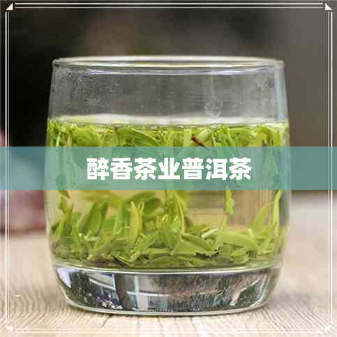 醉香茶业普洱茶