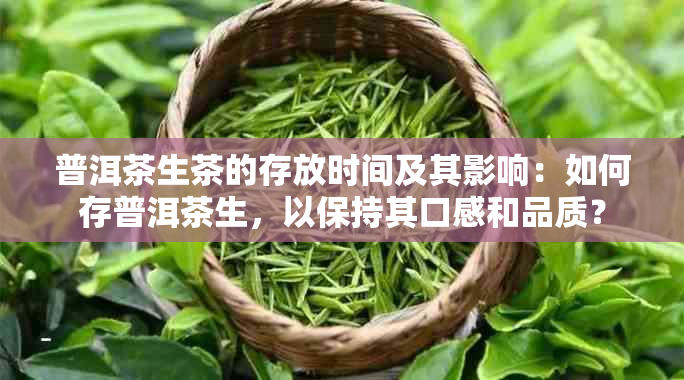 普洱茶生茶的存放时间及其影响：如何存普洱茶生，以保持其口感和品质？