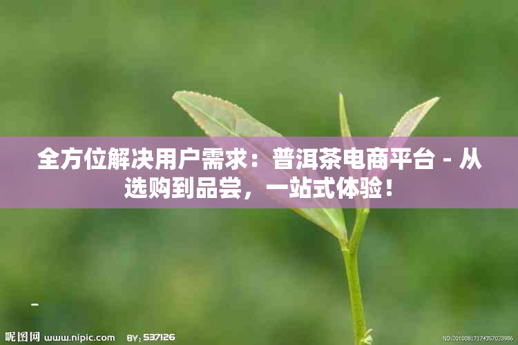 全方位解决用户需求：普洱茶电商平台 - 从选购到品尝，一站式体验！