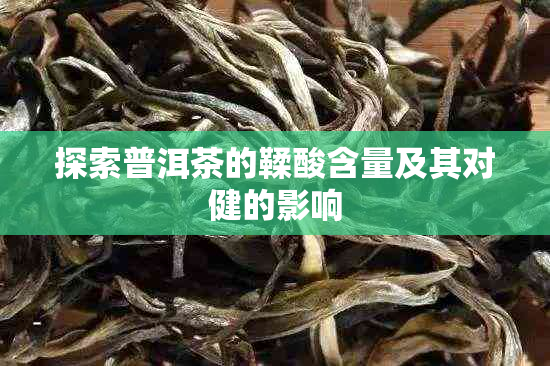 探索普洱茶的鞣酸含量及其对健的影响