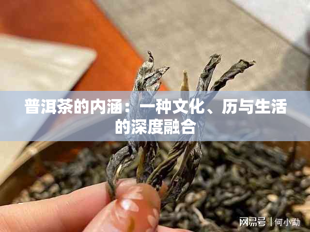 普洱茶的内涵：一种文化、历与生活的深度融合