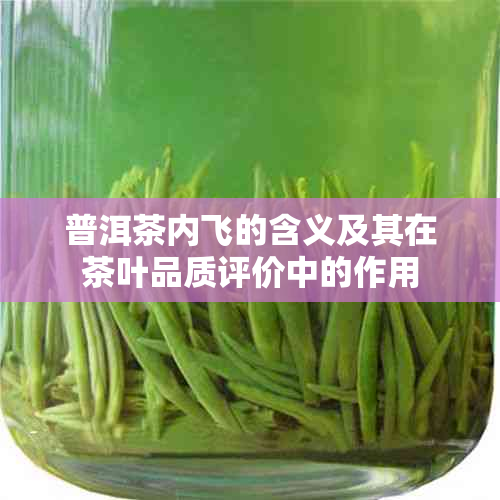 普洱茶内飞的含义及其在茶叶品质评价中的作用