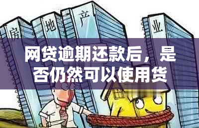 网贷逾期还款后，是否仍然可以使用货拉拉平台并解决逾期问题？