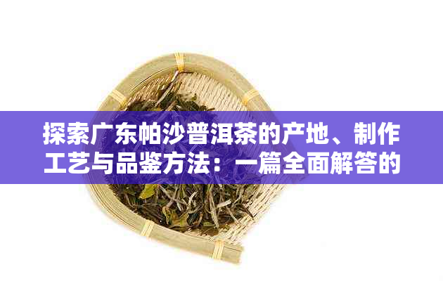 探索广东帕沙普洱茶的产地、制作工艺与品鉴方法：一篇全面解答的文章